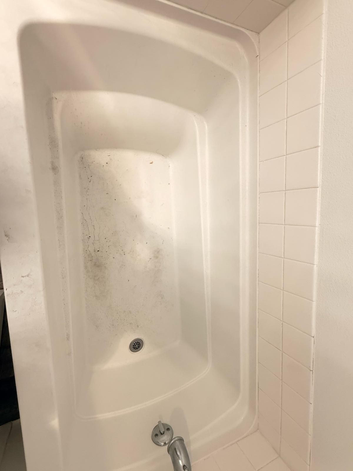 Bathtub before remodeling