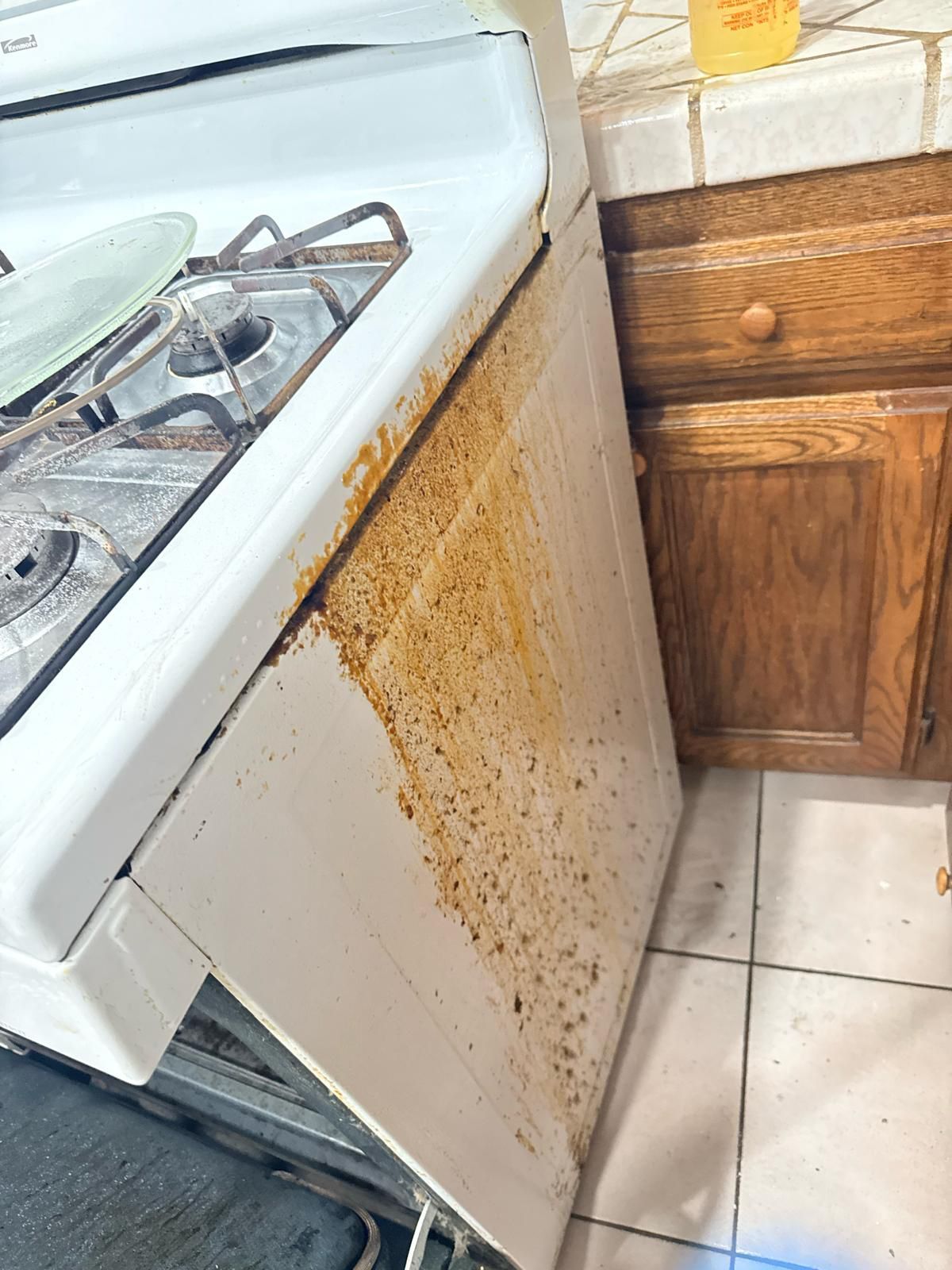 Kitchen appliance cleaning before